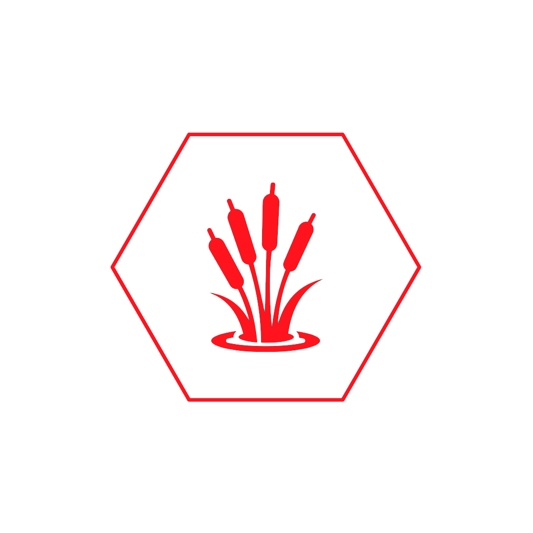 FireSense